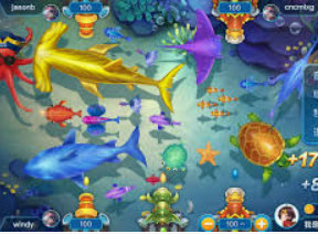 c7下载2024最新版